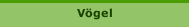 Vögel