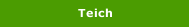Teich
