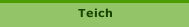 Teich