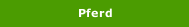 Pferd