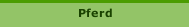 Pferd